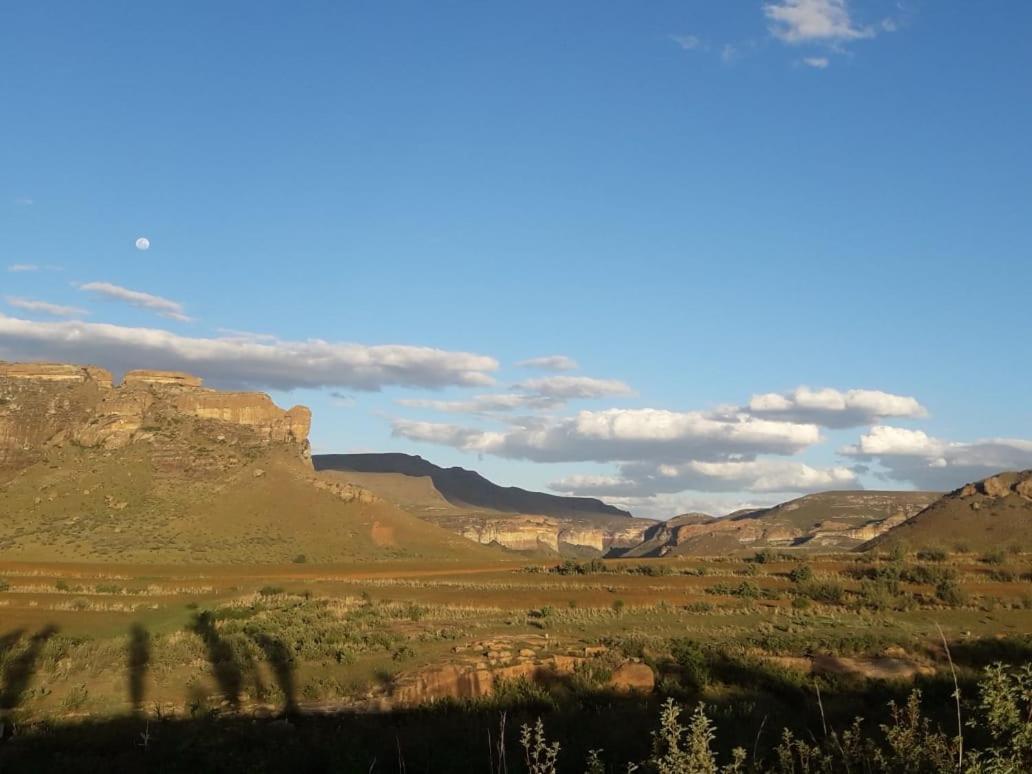 Willow Manor Clarens Exteriör bild